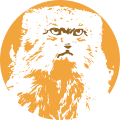 Thumbnail for version as of 06:04, 23 September 2023